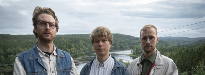 Landscape kot pressfoto 4